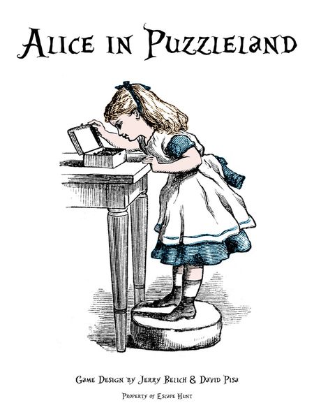Alice in Puzzleland